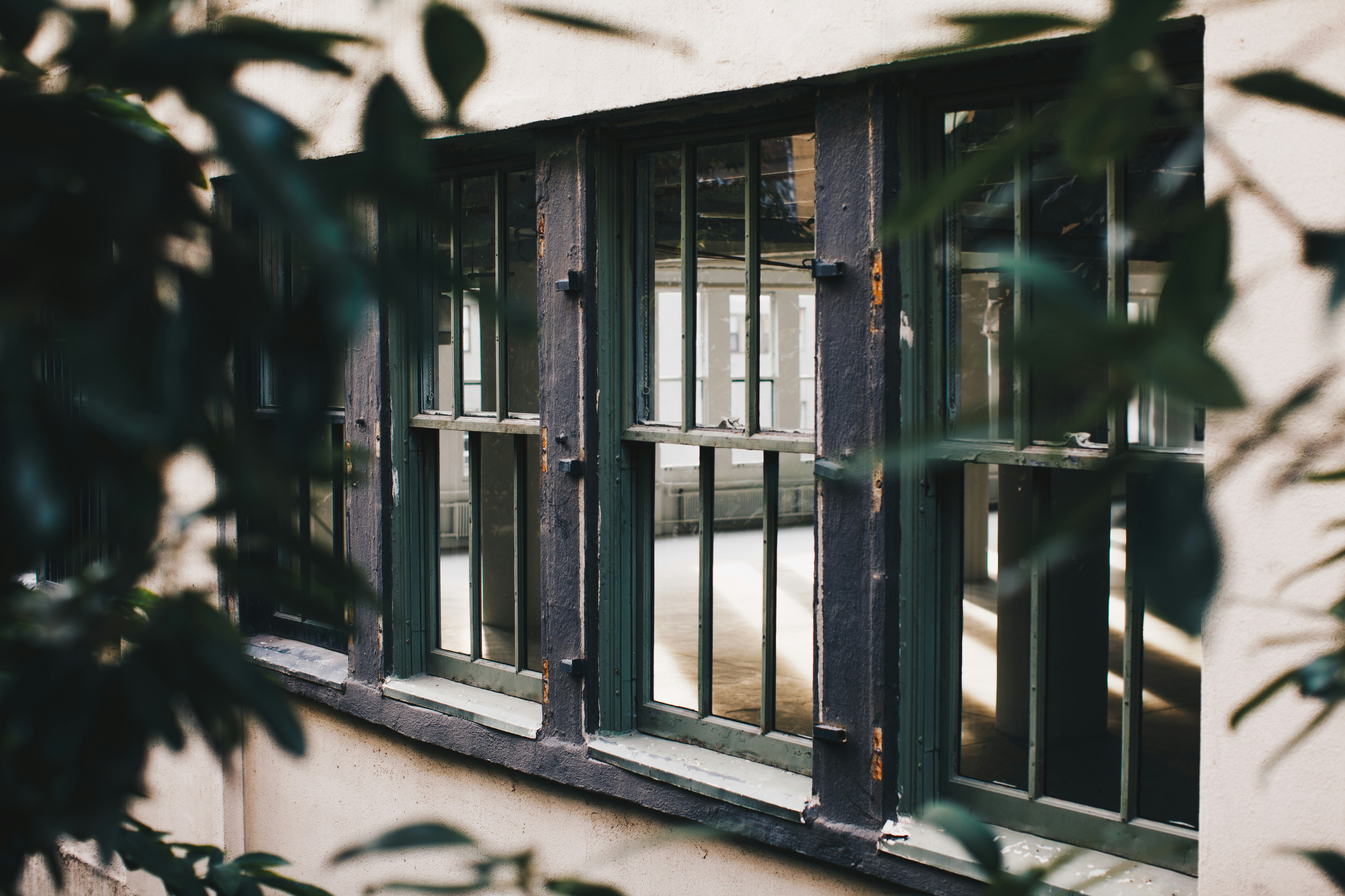 glass window with black steel frames
